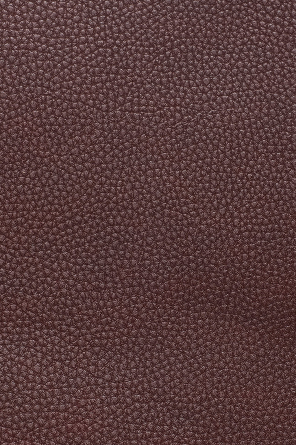 PAULA MEDIUM COMMUTER TOTE