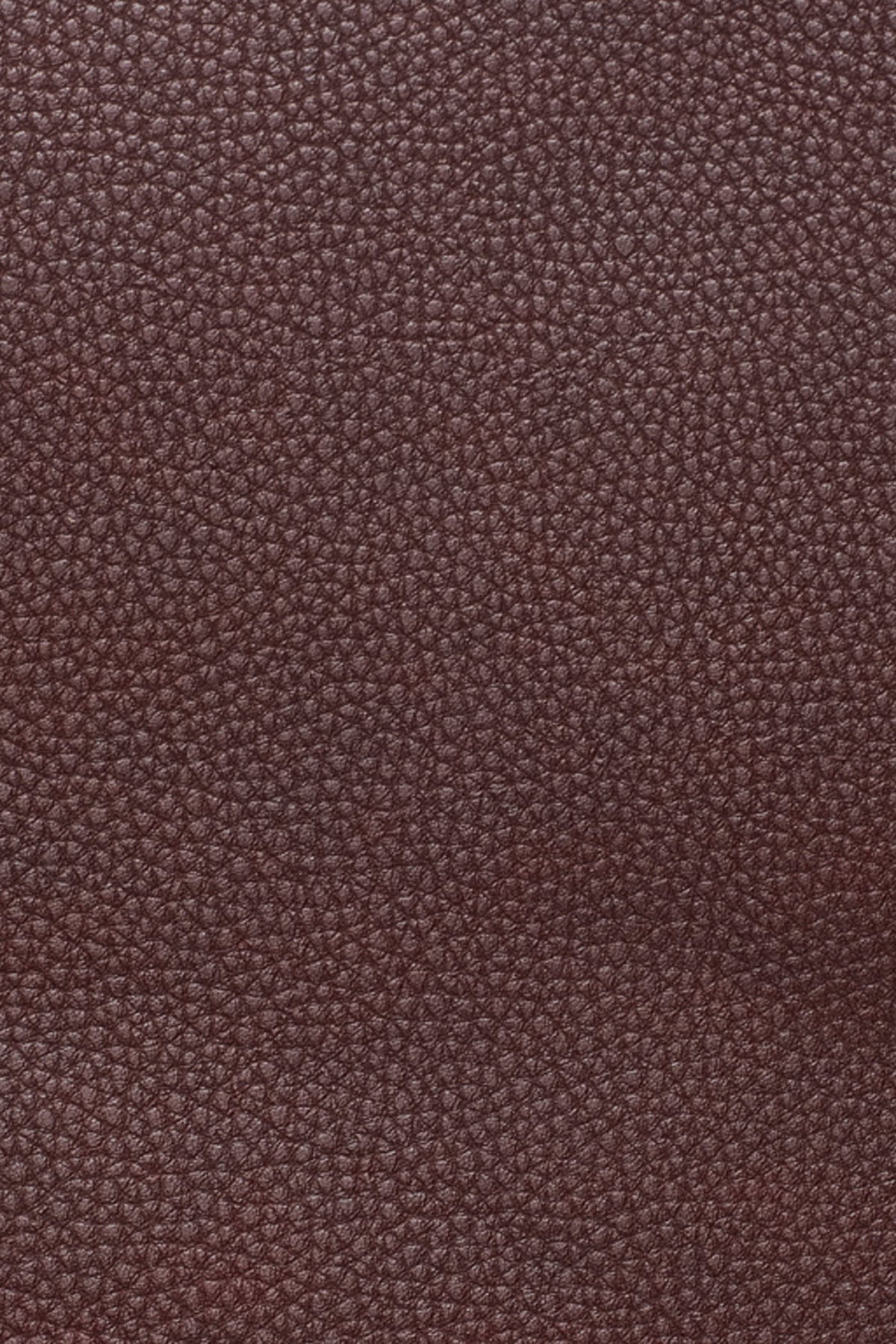 PAULA MEDIUM COMMUTER TOTE