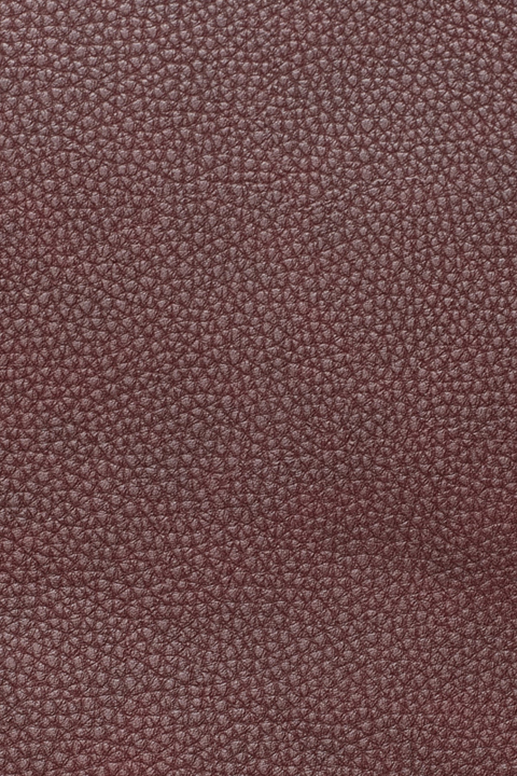 PAULA SMALL COMMUTER TOTE