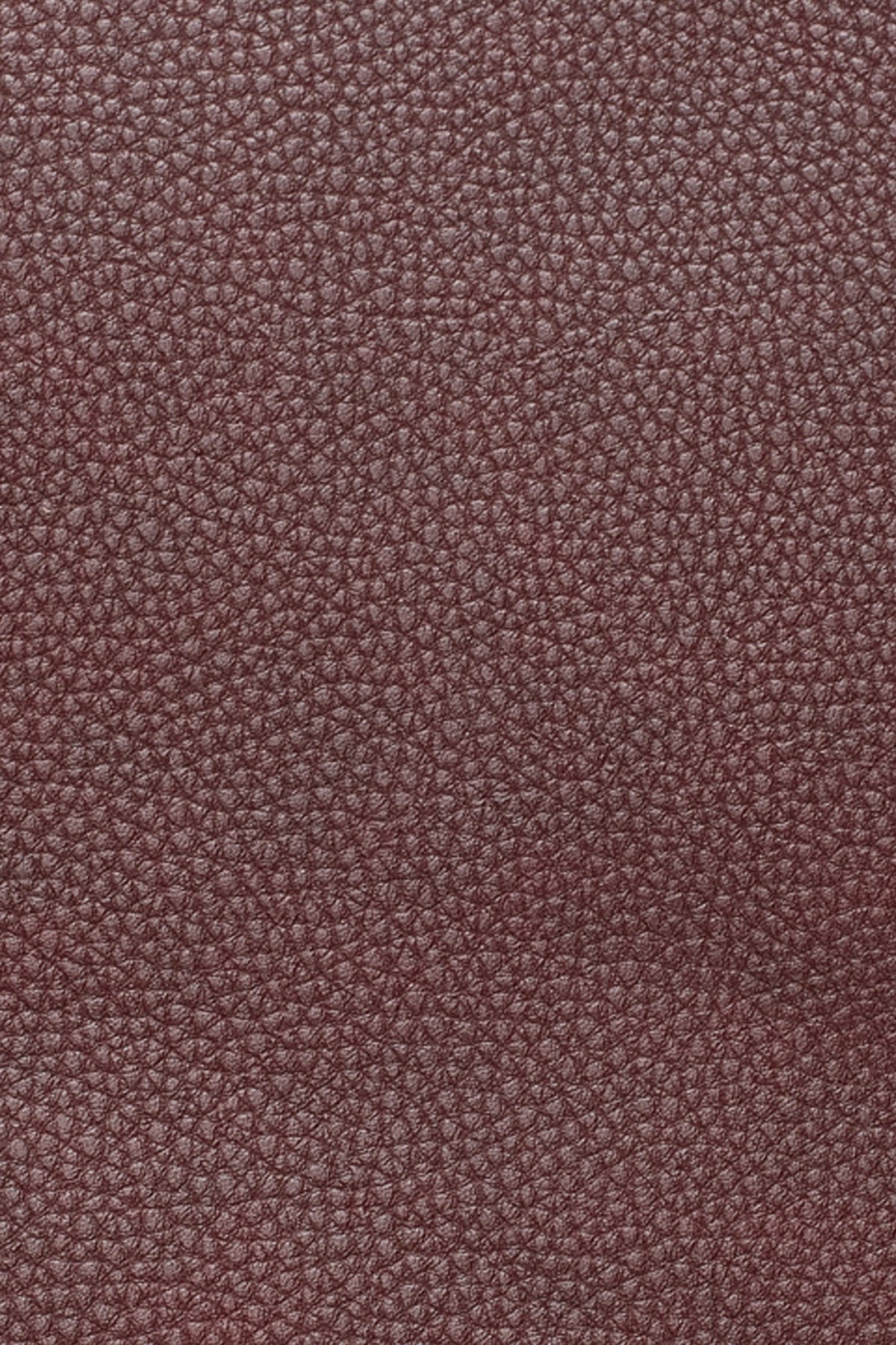 PAULA SMALL COMMUTER TOTE