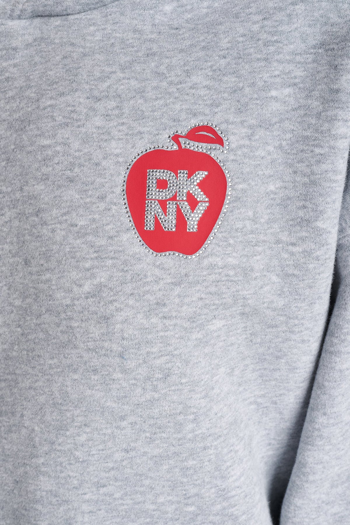 OVERSIZED BIG APPLE LOGO HOODIE